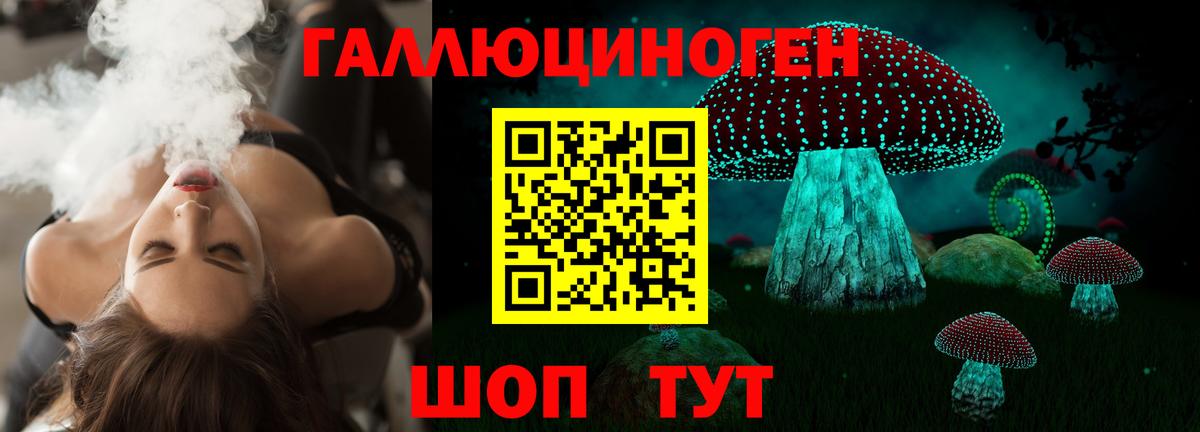 Галлюциногенные грибы прущие грибы  Вход с VPN  где купить   Саяногорск  Псилоцибиновые грибы Psilocybe 